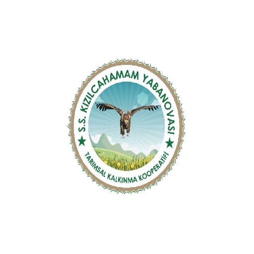 logo1