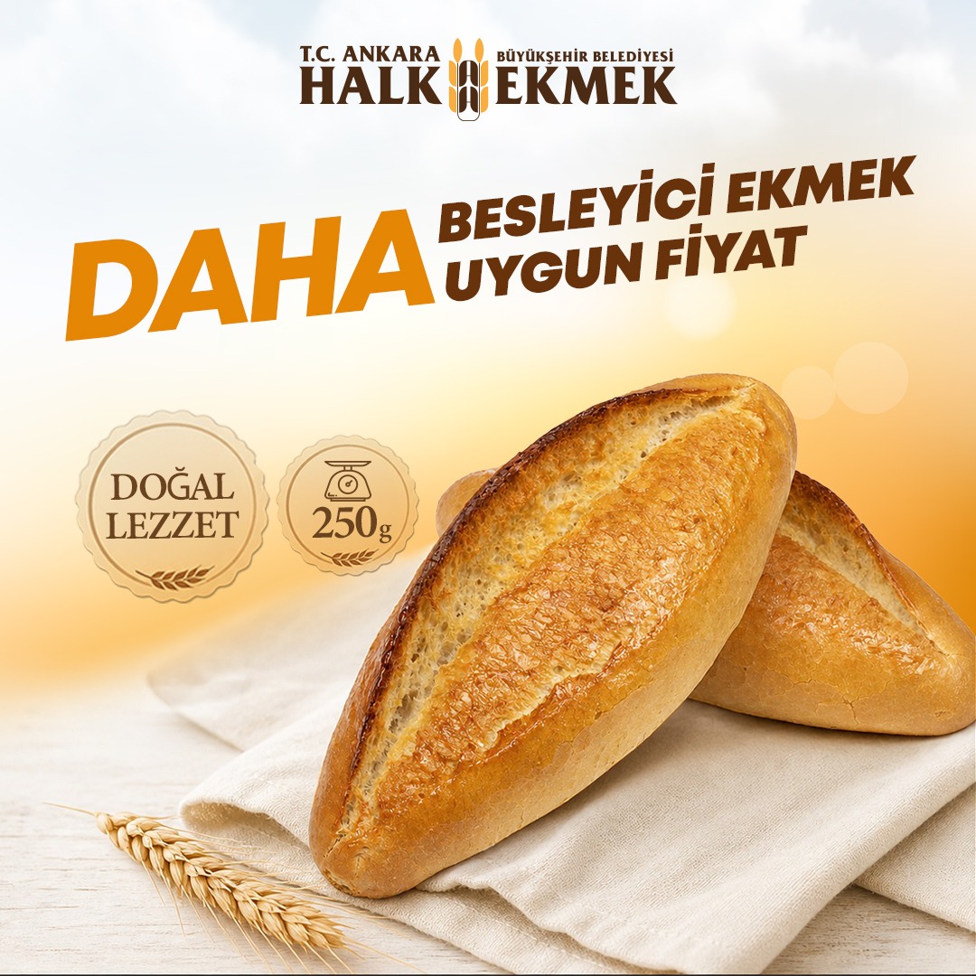 daha-besleyici.jpeg